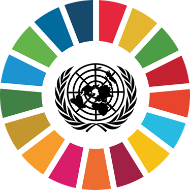 Grafika dotycząca celów światowych ONZ 17